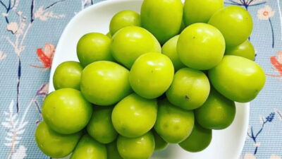 Jika Terbukti Berbahaya, Kementan Akan Hentikan Impor Anggur Muscat