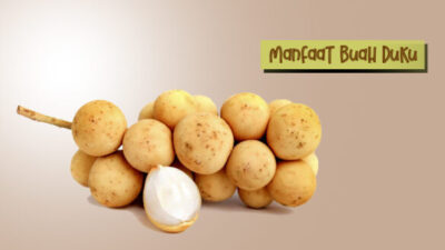 Ini Lima Manfaat Buah Duku Bagi Kesehatan