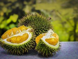 Bolehkah Ibu Hamil Makan Durian? Ini Penjelasannya