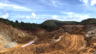 Lima Perusahaan Tambang Dapat Izin Beroperasi di Raja Ampat, Papua Barat Daya