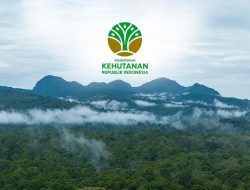 Peluang Emas: Kemenhut Cari Tenaga Operator Data untuk Sistem Pengelolaan Hutan