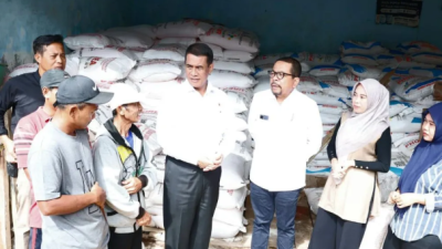Mentan Amran dan KSP Qodari Sidak ke Lampung, Pastikan Harga Pupuk Subsidi Turun 20%