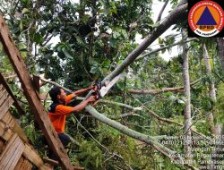 Cuaca Ekstrem Terjang Pamekasan, Puluhan Rumah Serta Fasilitas Pendidikan dan Ibadah Rusak