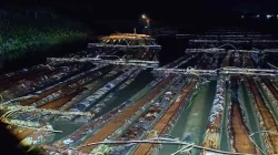 Gakkum KLHK Sita 600 Batang Kayu Ilegal Saat Hendak Disuplai ke Industri di Ketapang