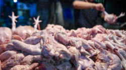 Mentan Amran Minta Polisi Tindak Penahan Stok, Harga Pangan Wajib Sesuai Harga Eceran Tertinggi (HET)